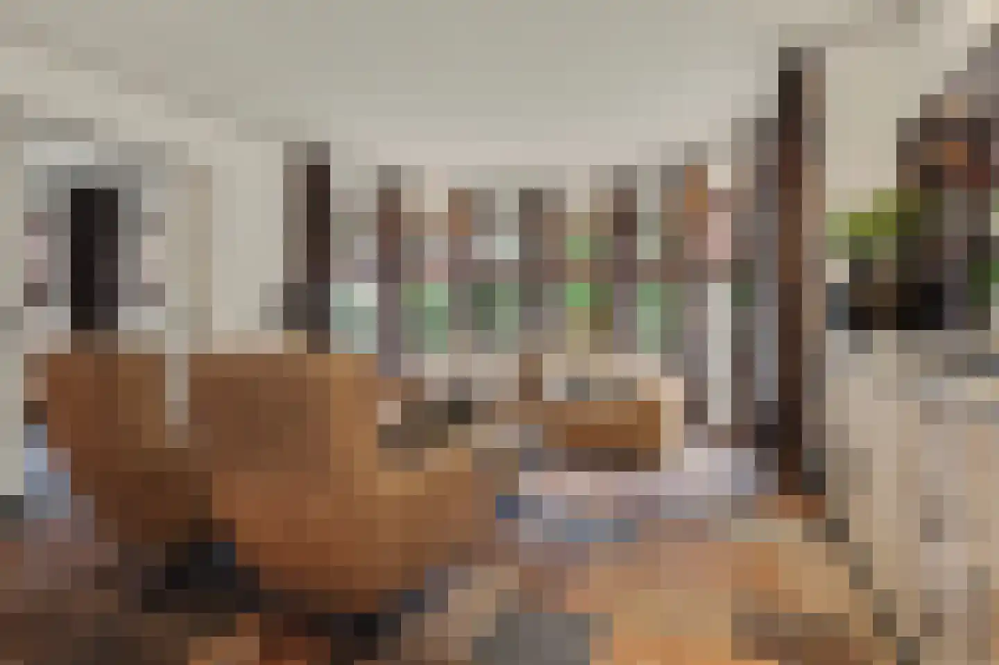 Past. Debijestraat 65 Hegelsom thumbnail 13
