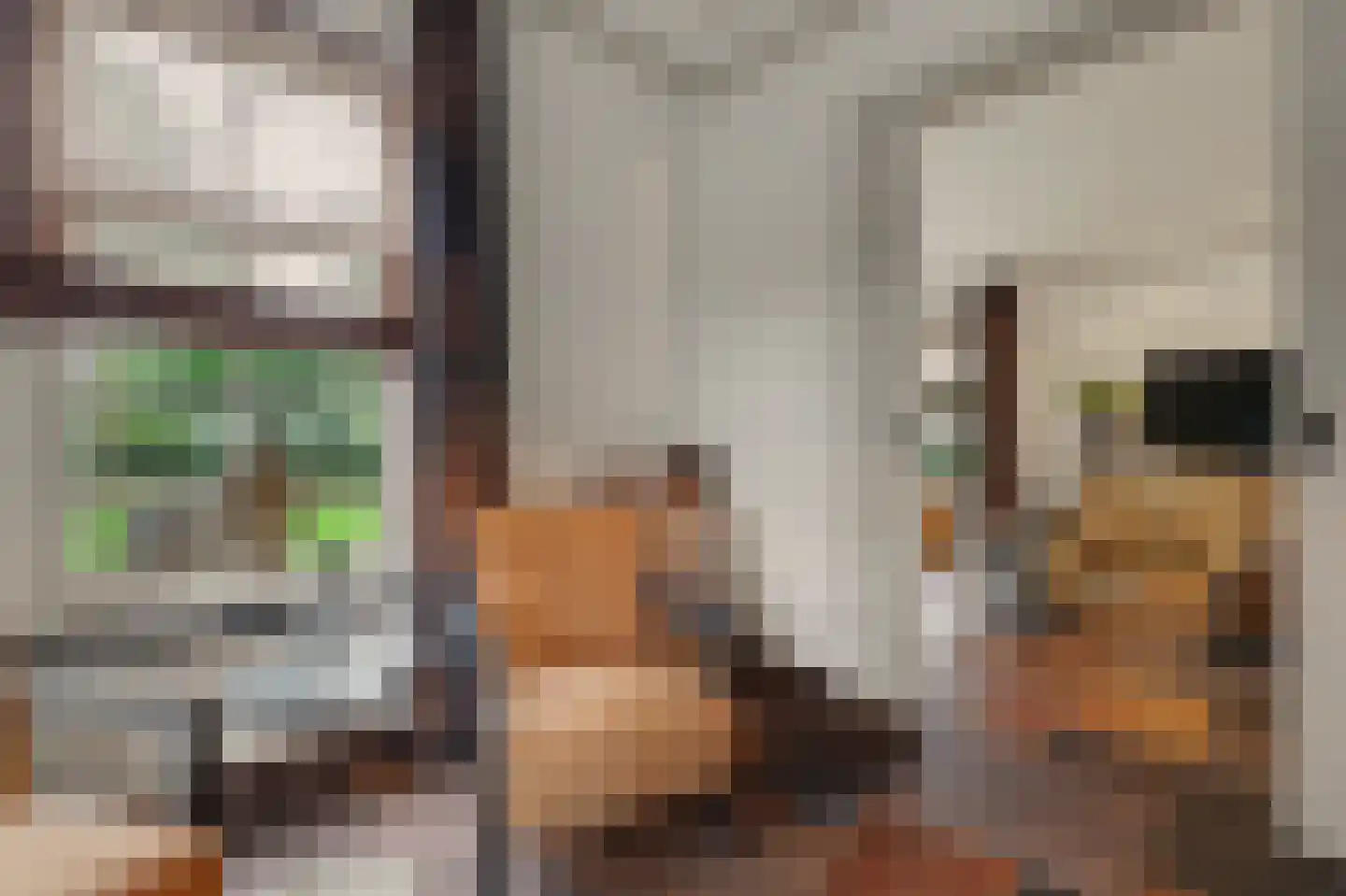 Past. Debijestraat 65 Hegelsom thumbnail 15