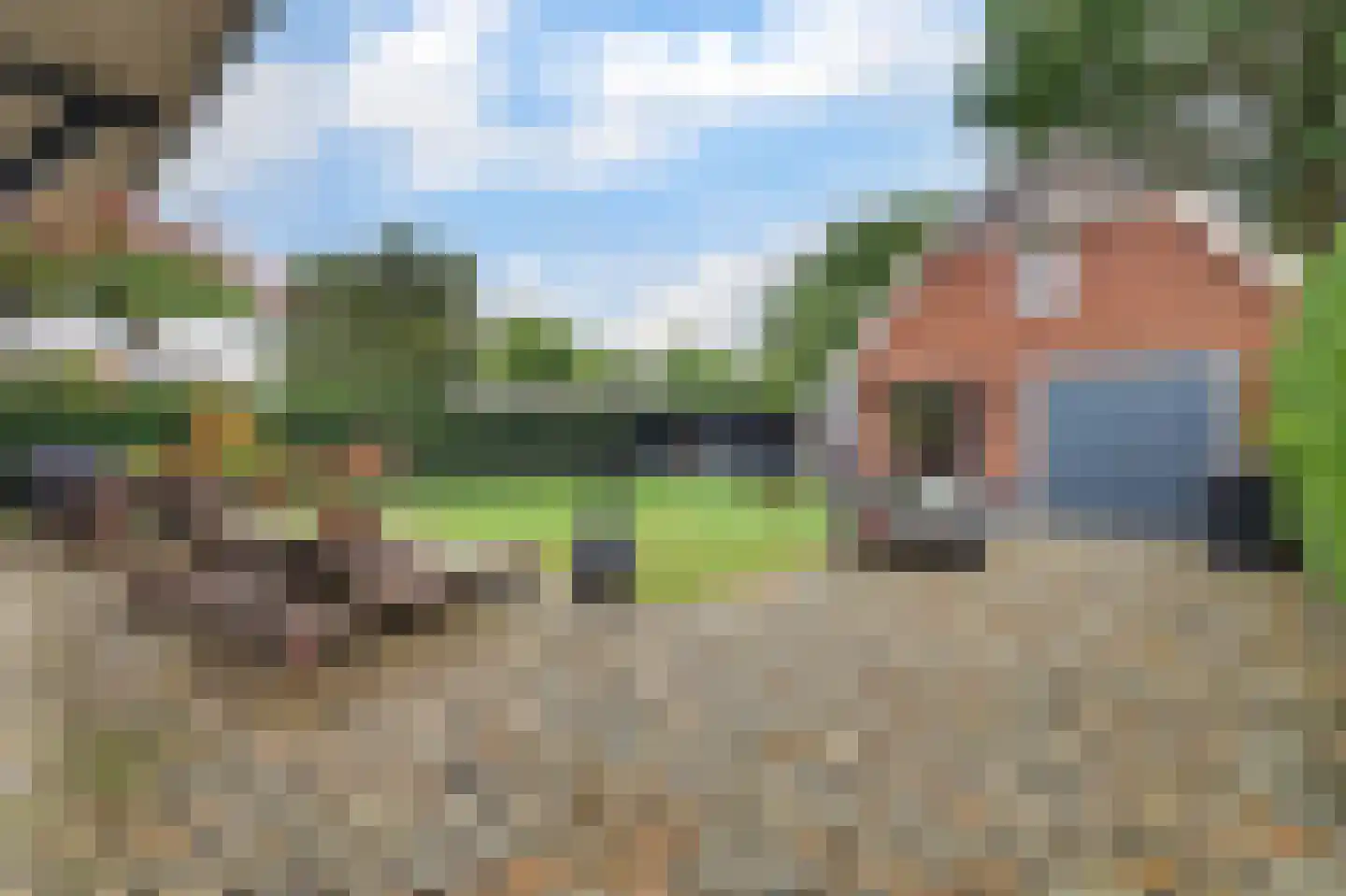 Past. Debijestraat 65 Hegelsom thumbnail 35