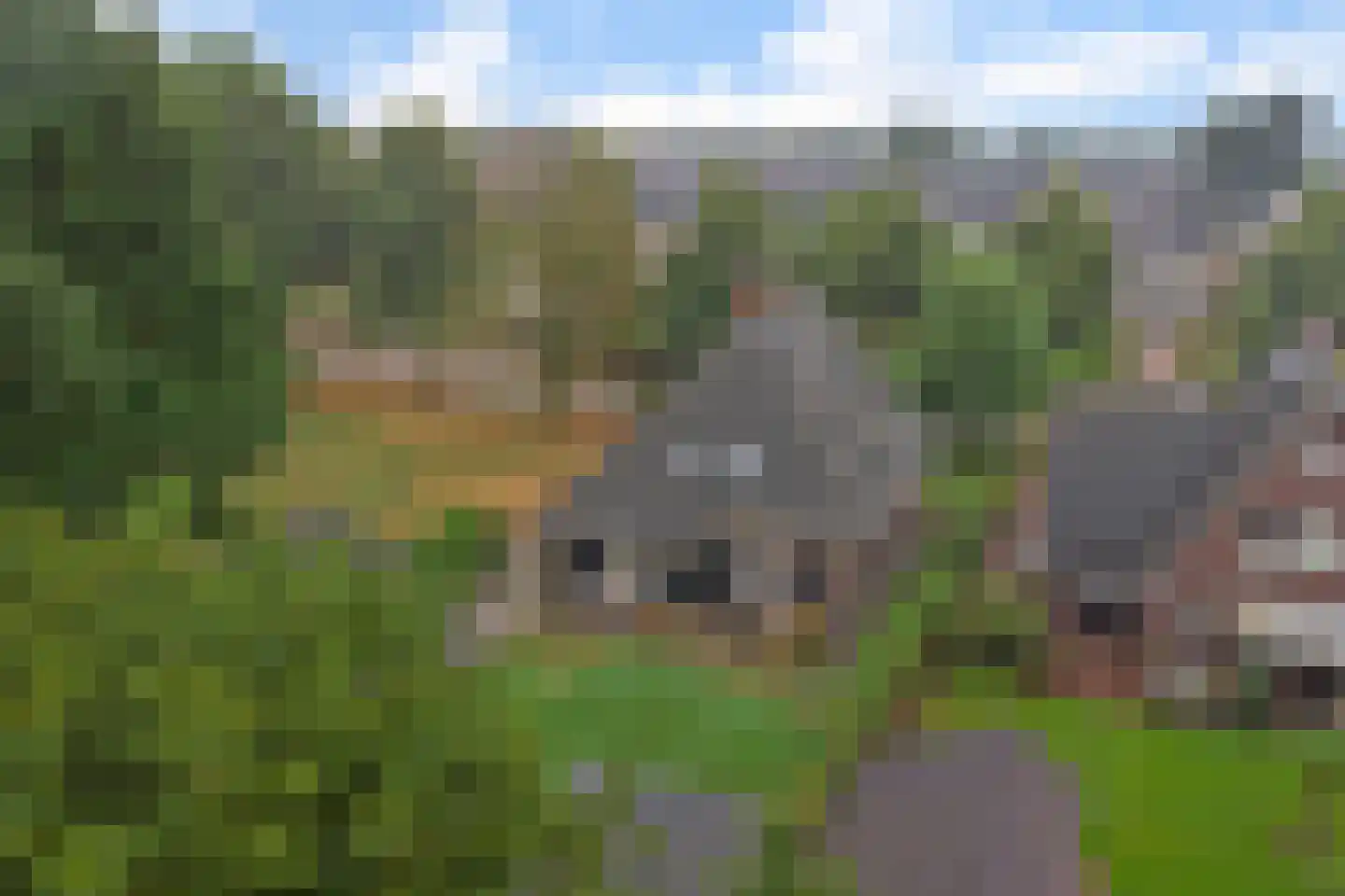 Past. Debijestraat 65 Hegelsom thumbnail 38