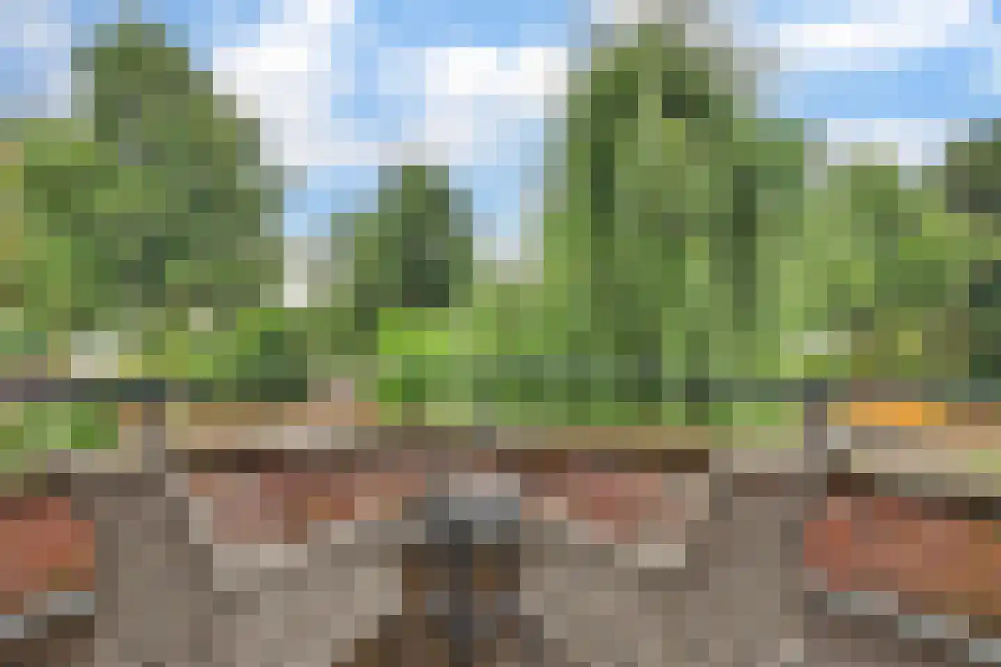 Past. Debijestraat 65 Hegelsom thumbnail 39