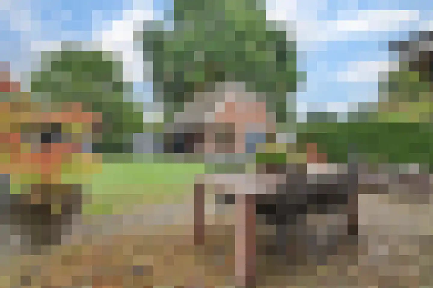 Past. Debijestraat 65 Hegelsom thumbnail 4