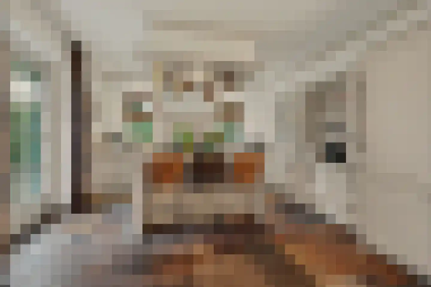 Past. Debijestraat 65 Hegelsom thumbnail 7