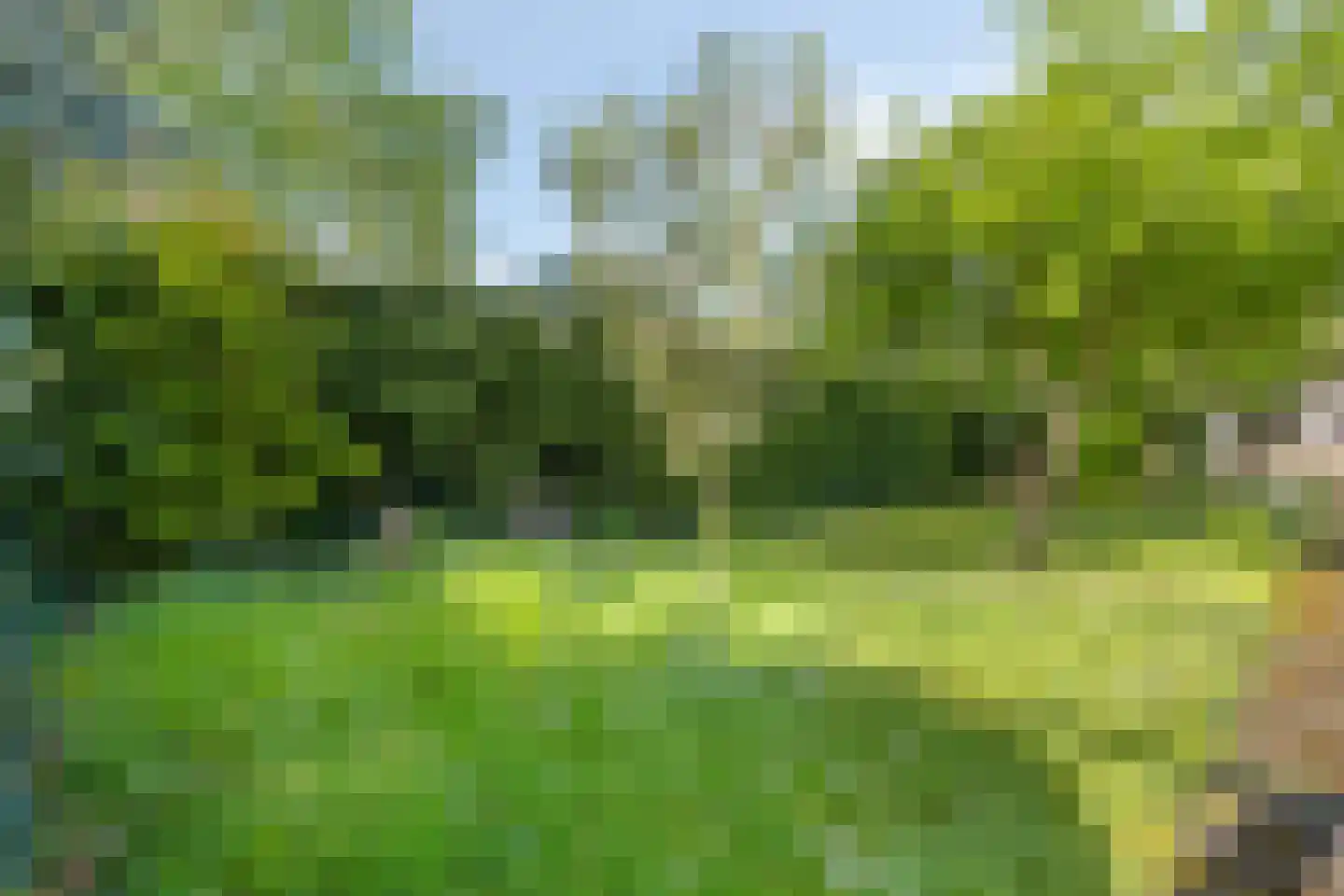Past Eijckstraat 9 Urmond thumbnail 23