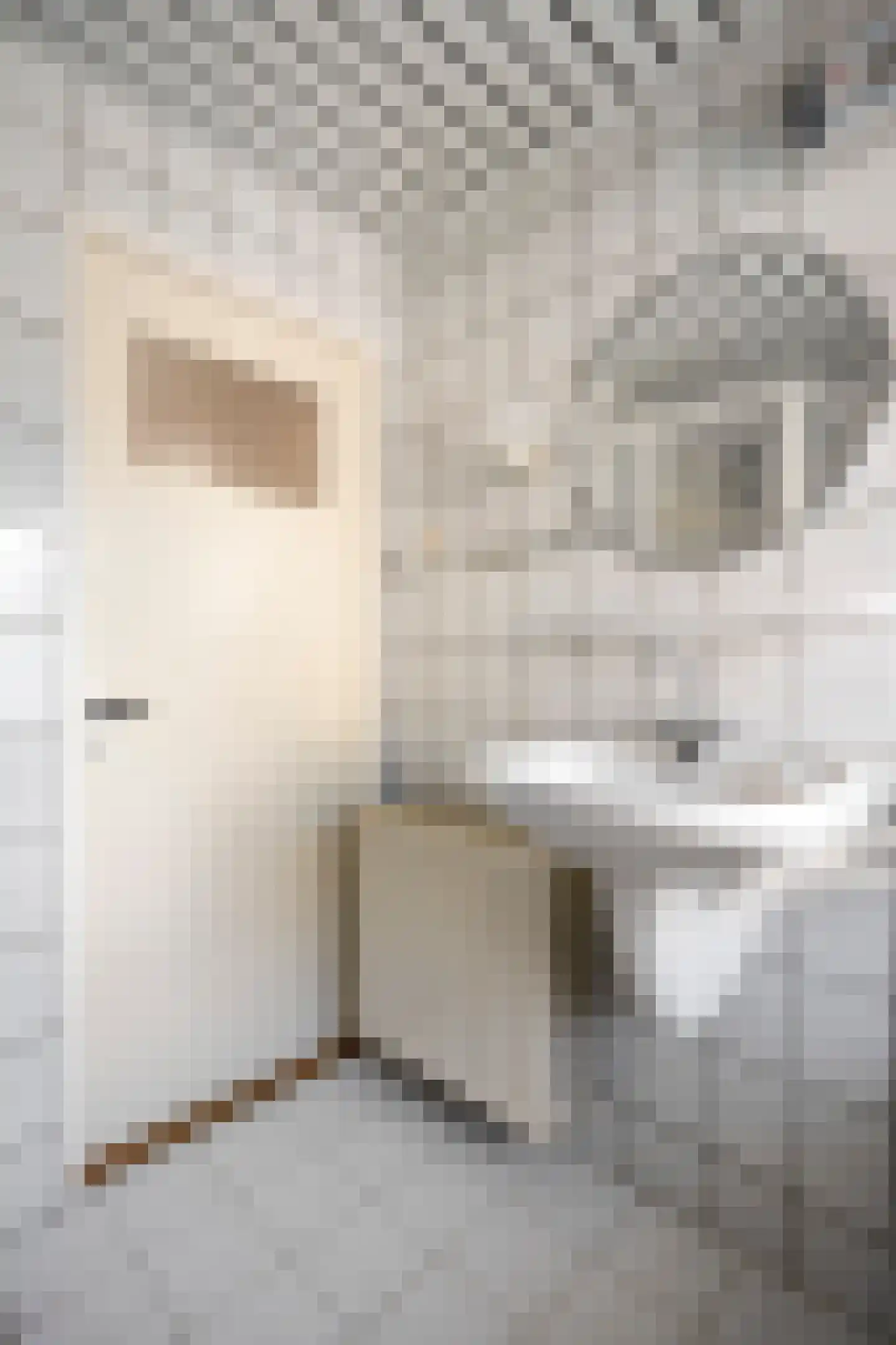 Past Eijckstraat 9 Urmond thumbnail 33
