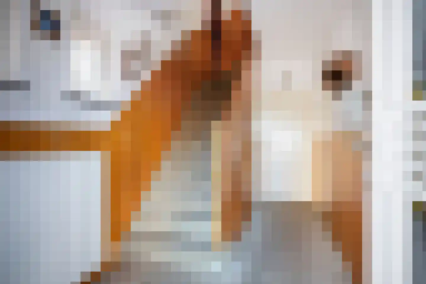 Past Eijckstraat 9 Urmond thumbnail 8