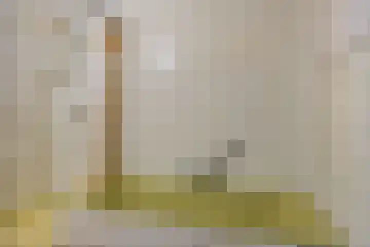 Past. Esserstraat 9 Beringe thumbnail 20