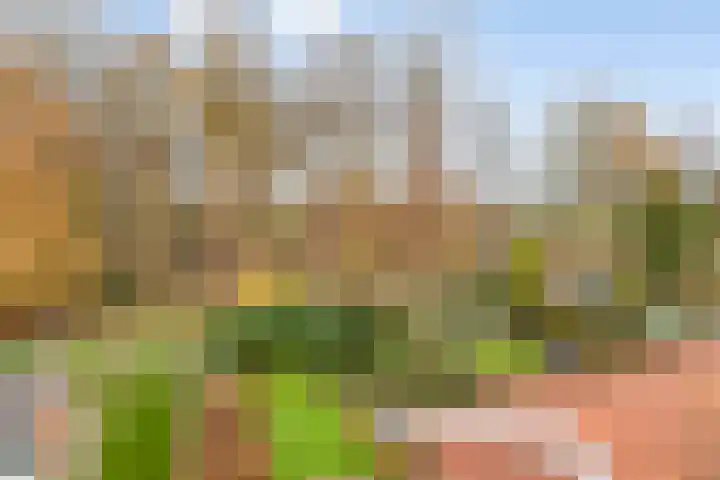Past. Hendriksstraat 10 Griendtsveen thumbnail 46