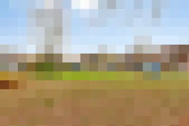 Past. Hendriksstraat 10 Griendtsveen thumbnail 51