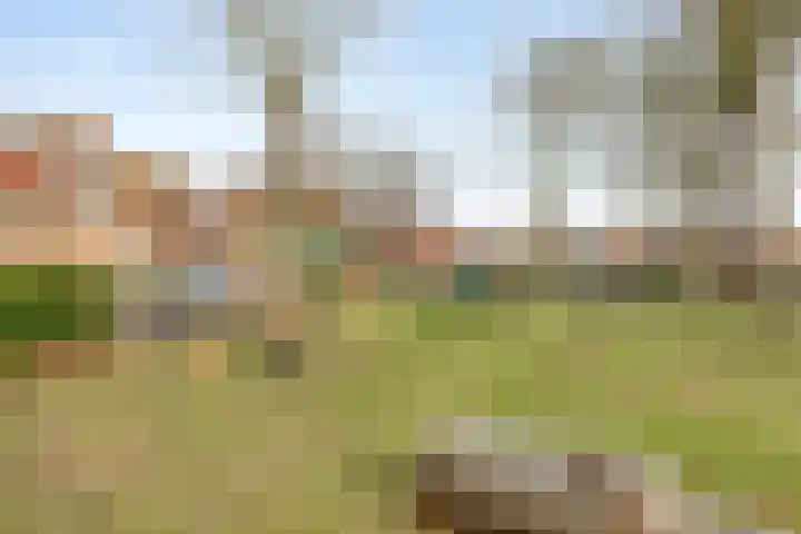 Past. Hendriksstraat 10 Griendtsveen thumbnail 52