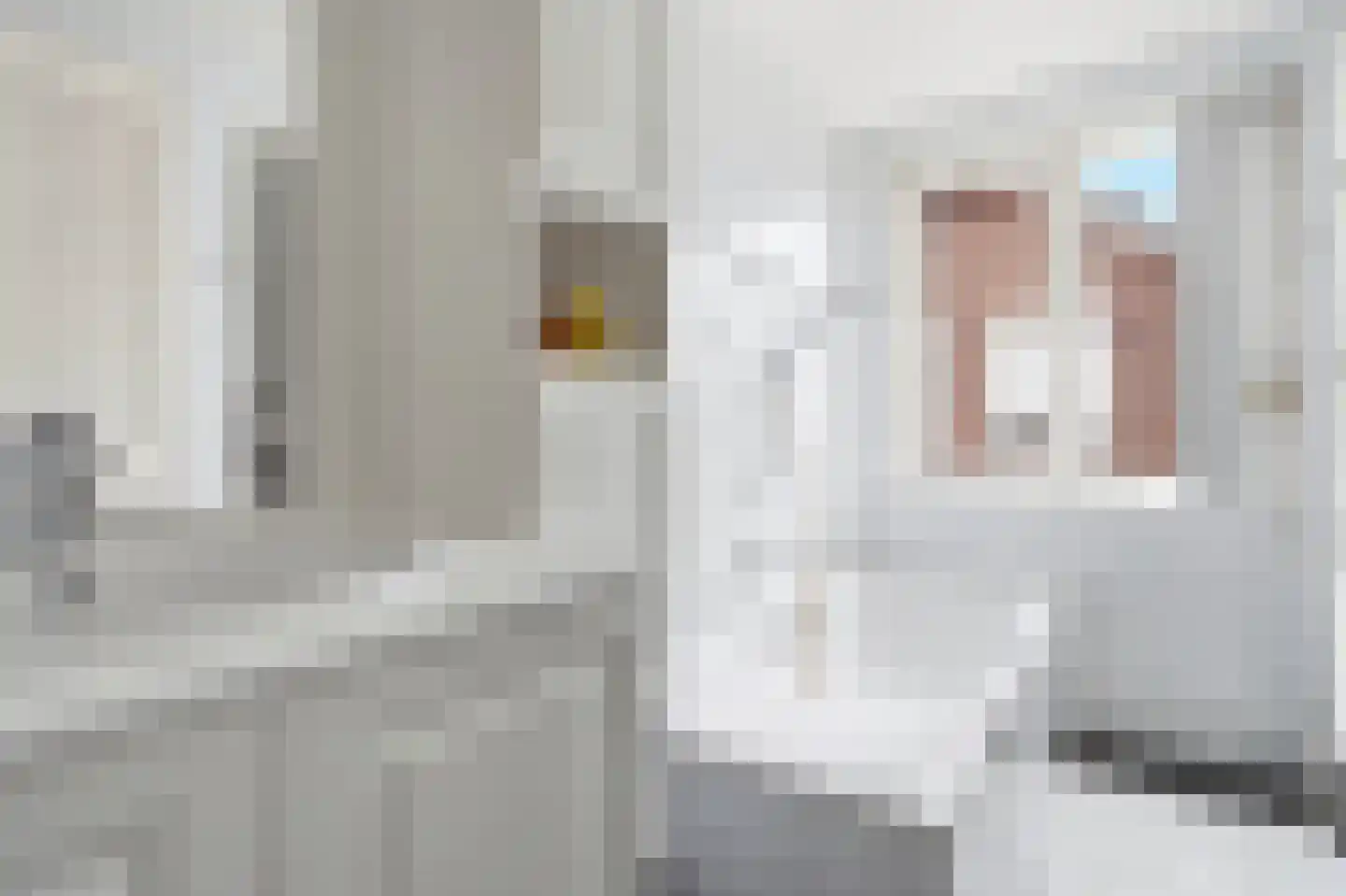 Past Hermansstraat 6 Haps thumbnail 23