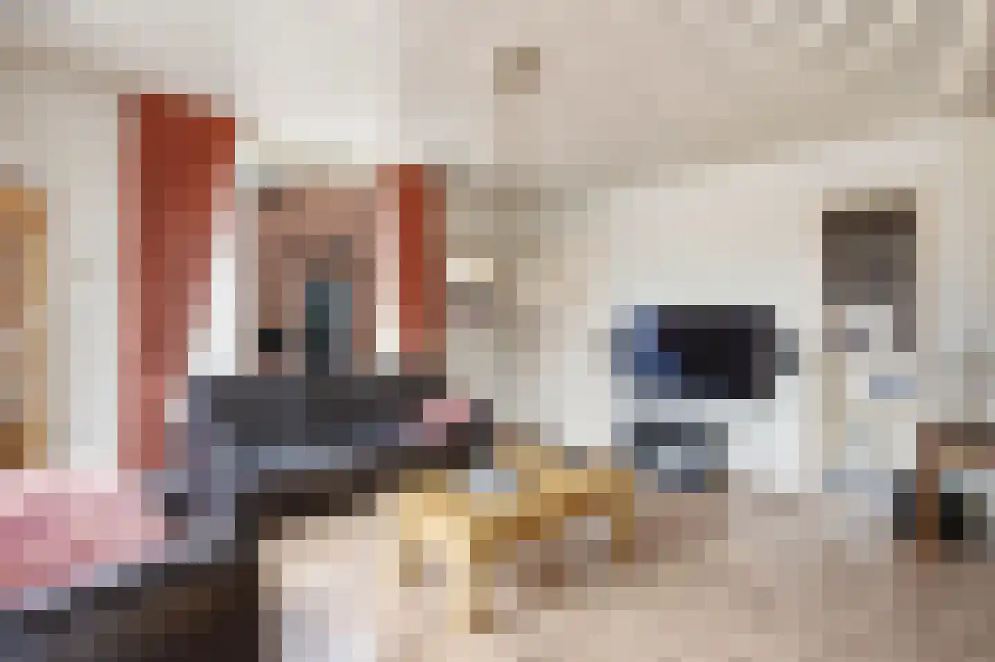 Past Hermansstraat 6 Haps thumbnail 7