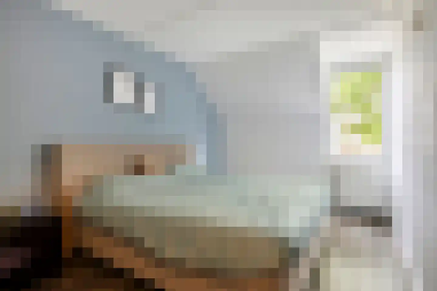 Past. Jeukenstraat 32 Helden thumbnail 14