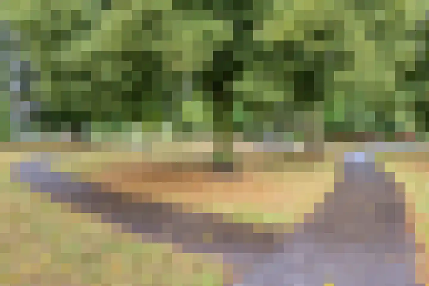 Past. Jeukenstraat 32 Helden thumbnail 36