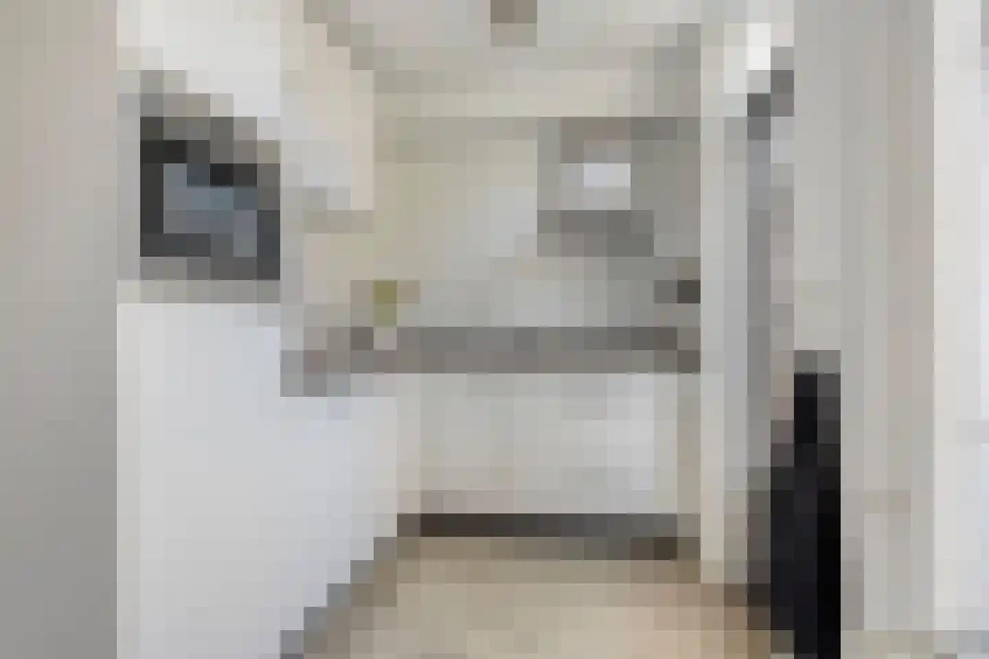 Past. Jeukenstraat 32 Helden thumbnail 9
