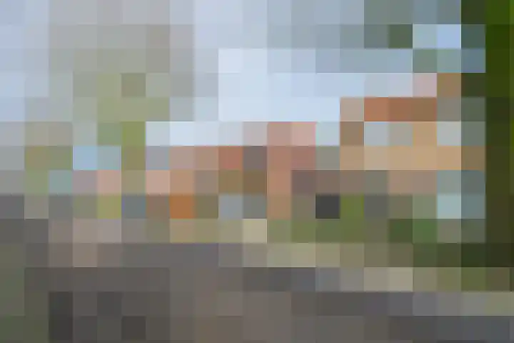 Past. Notermansstraat 4 Meterik thumbnail 9