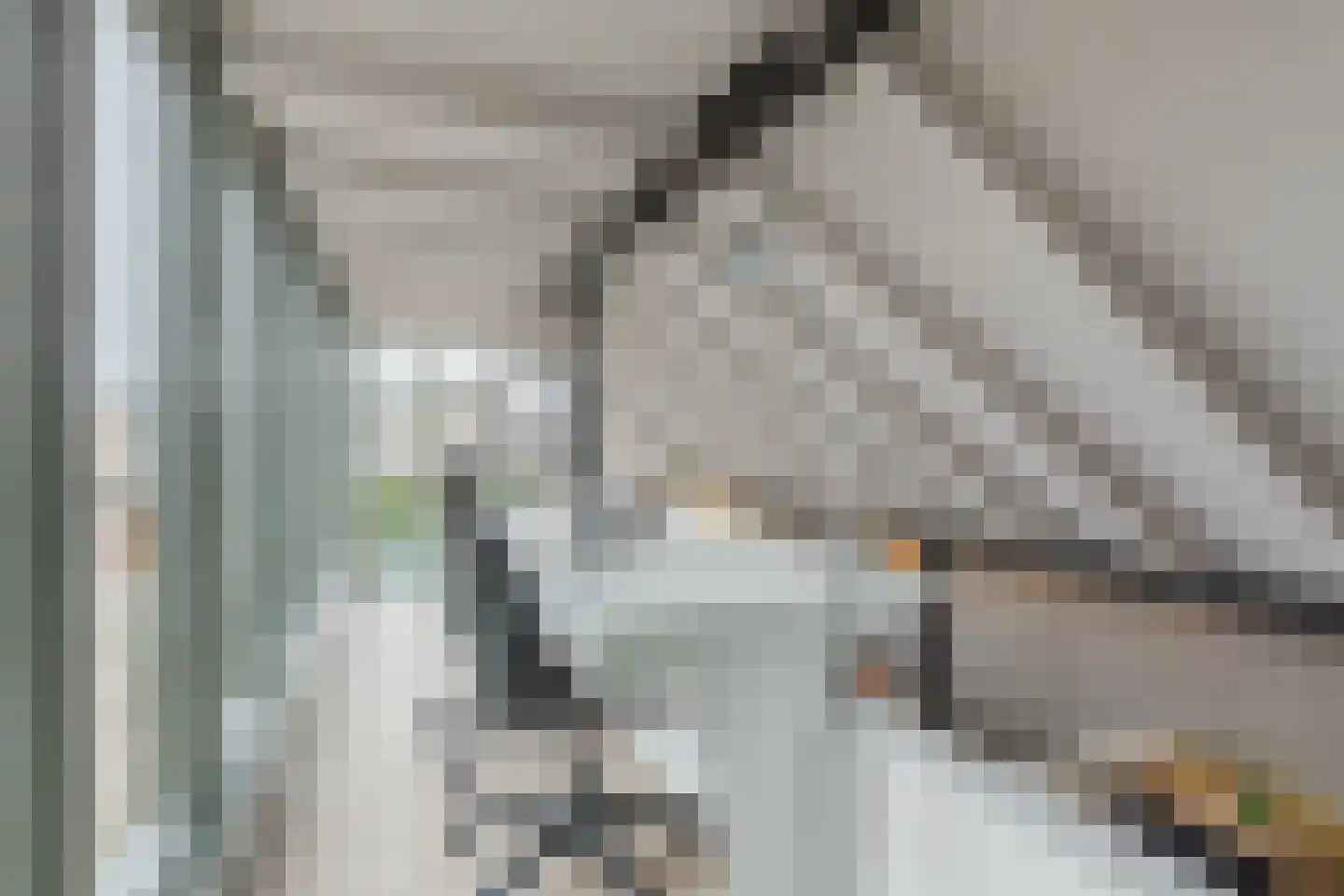 Past Pompestraat 4 Haps thumbnail 17