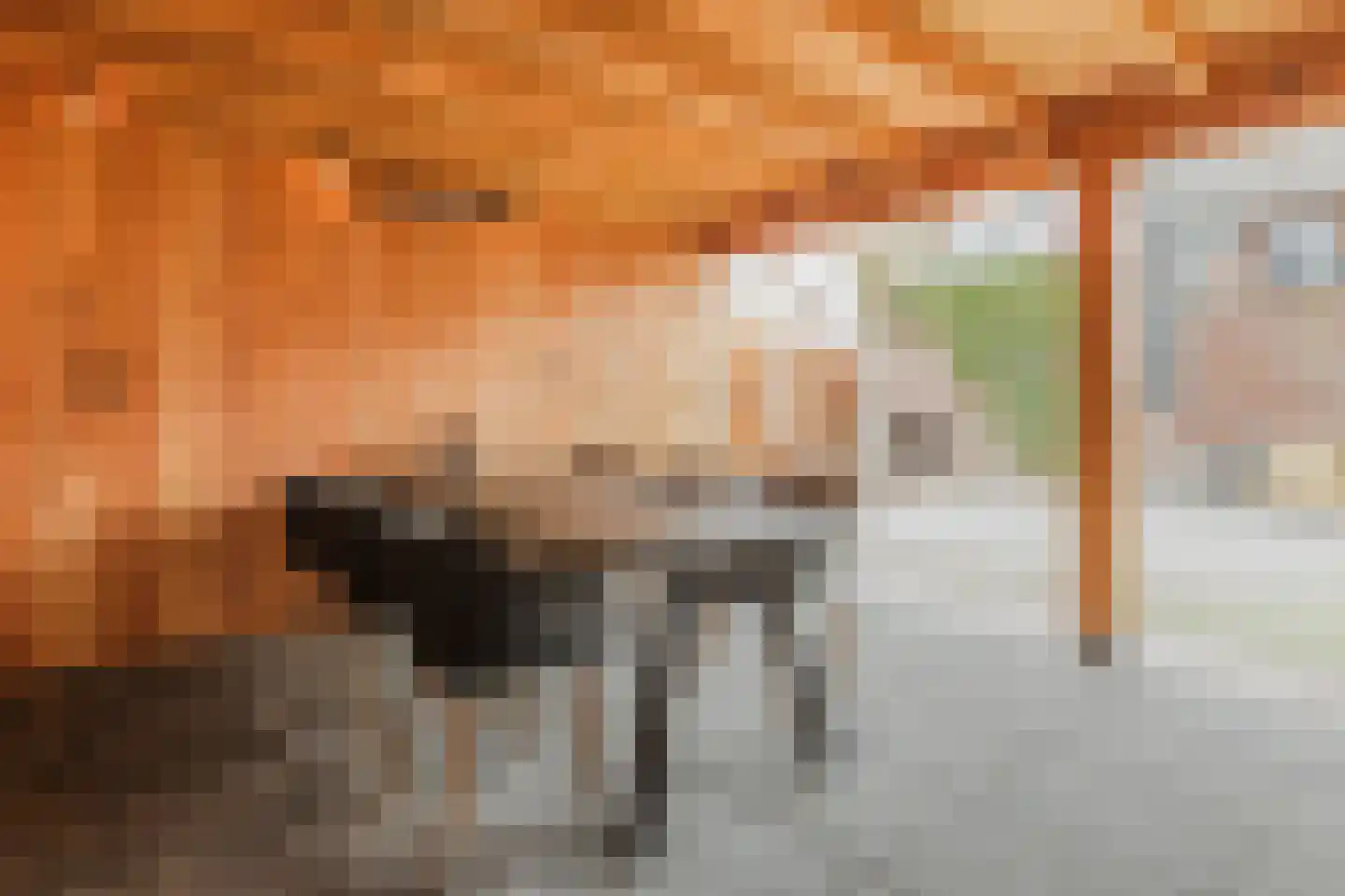 Past Pompestraat 4 Haps thumbnail 30
