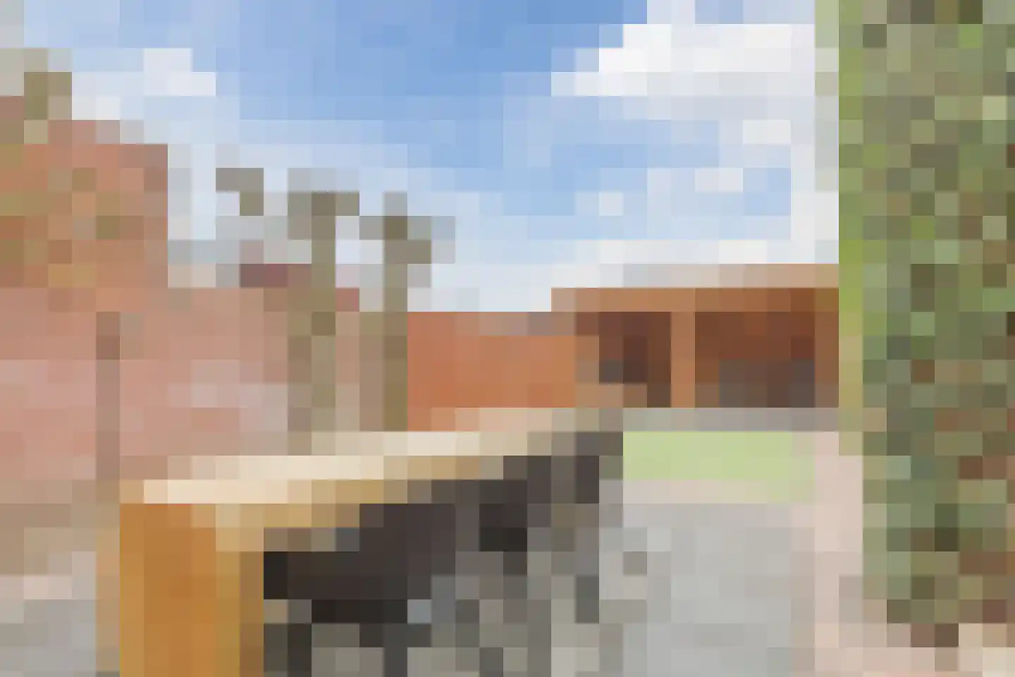 Past Pompestraat 4 Haps thumbnail 32