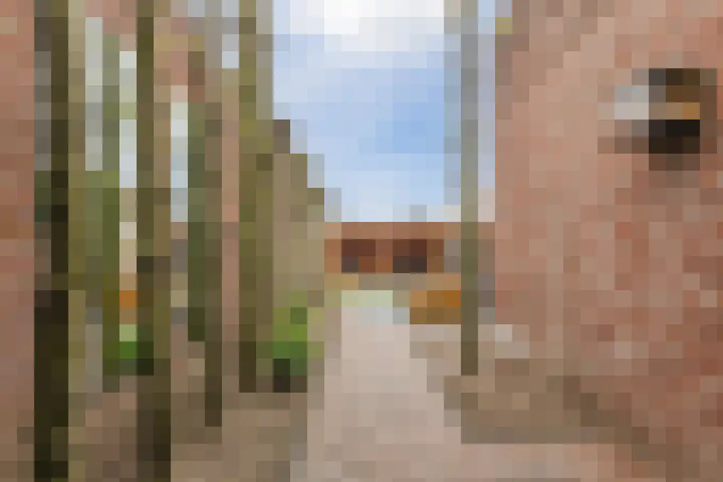 Past Pompestraat 4 Haps thumbnail 36