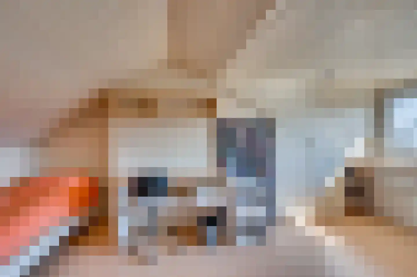 Past Tijssenstraat 23 Grubbenvorst thumbnail 16