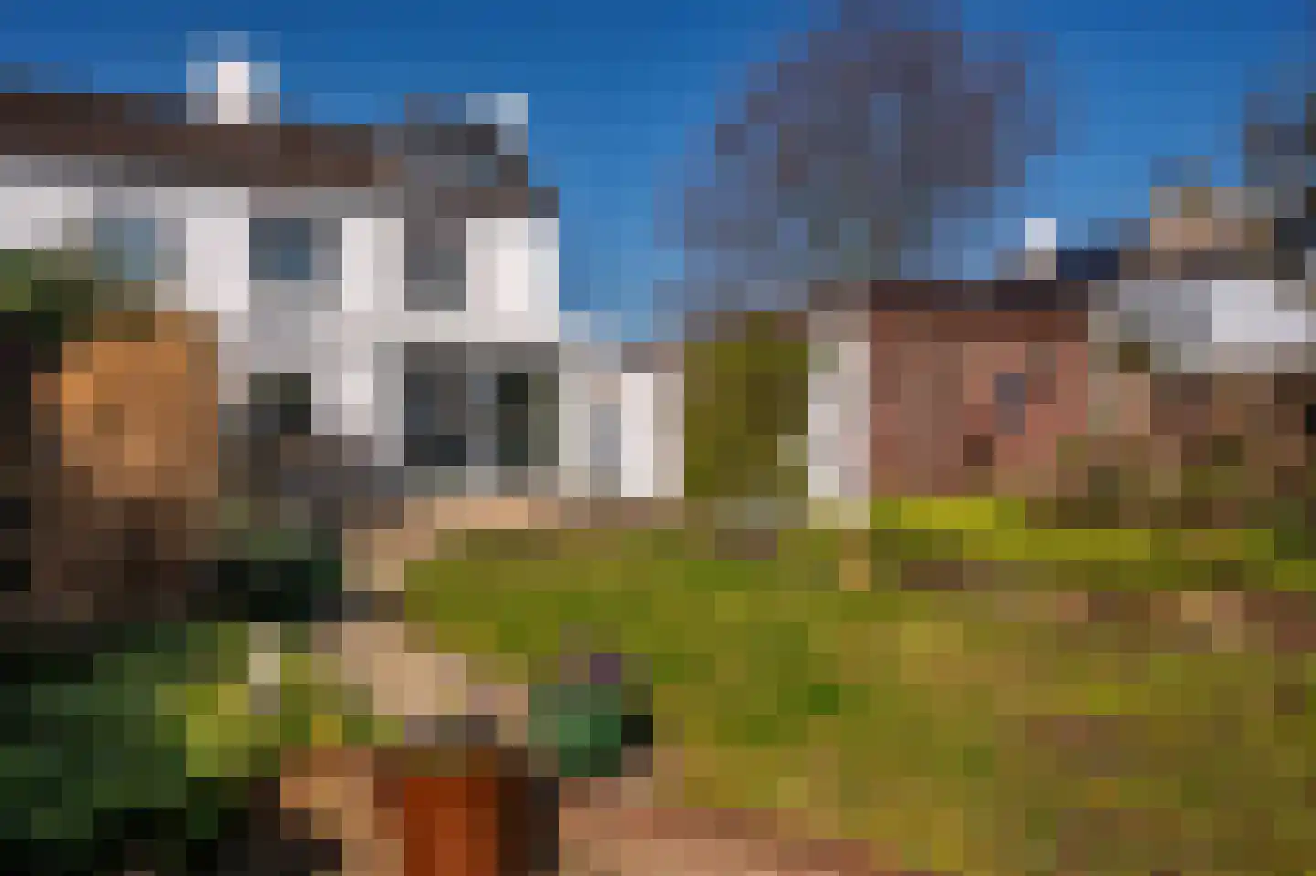 Past Tijssenstraat 23 Grubbenvorst thumbnail 17