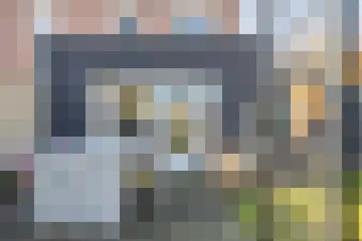 Past. van der Sterrenstraat 1 Grashoek thumbnail 42
