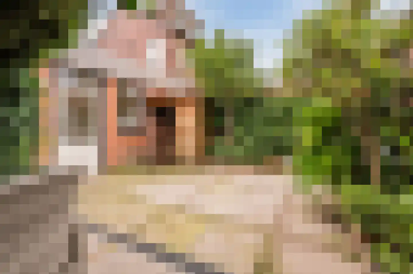 Past. van Haarenstraat 64 Veghel thumbnail 42