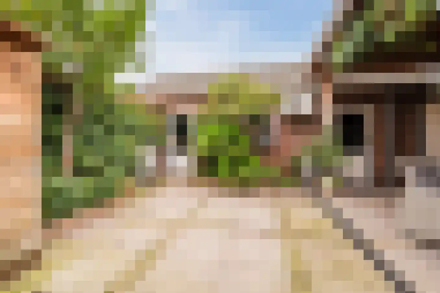 Past. van Haarenstraat 64 Veghel thumbnail 43