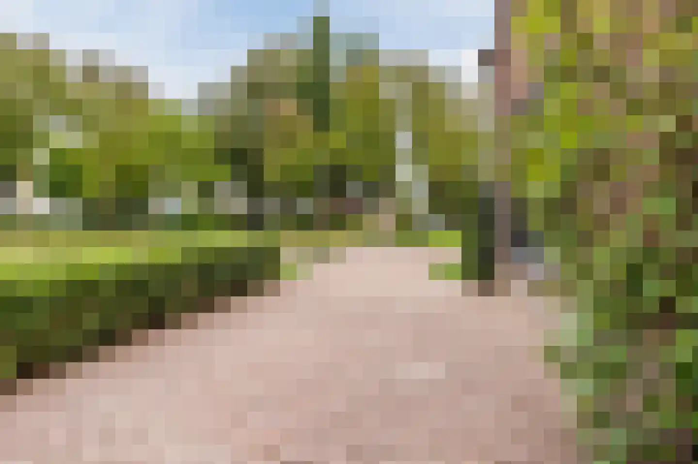 Past. van Haarenstraat 64 Veghel thumbnail 49