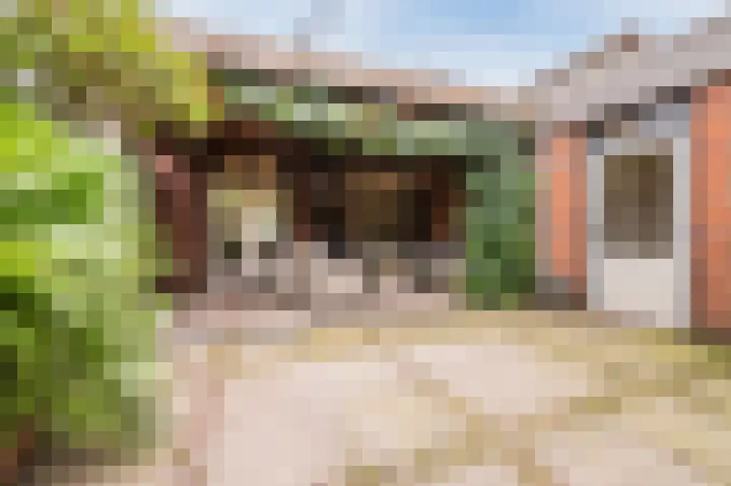 Past. van Haarenstraat 64 Veghel thumbnail 7