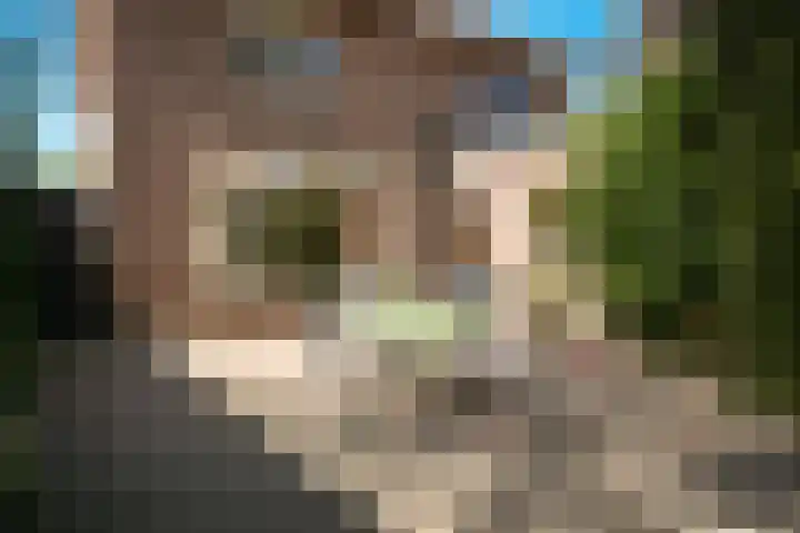 Past. van Haarenstraat 7 Veghel thumbnail 37