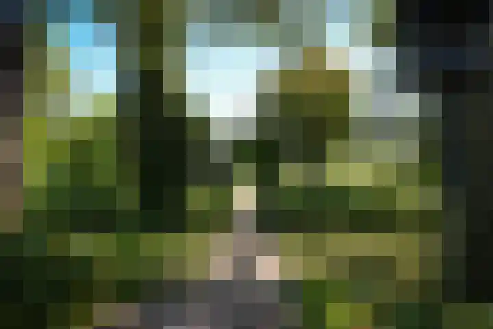 Past. van Haarenstraat 7 Veghel thumbnail 39