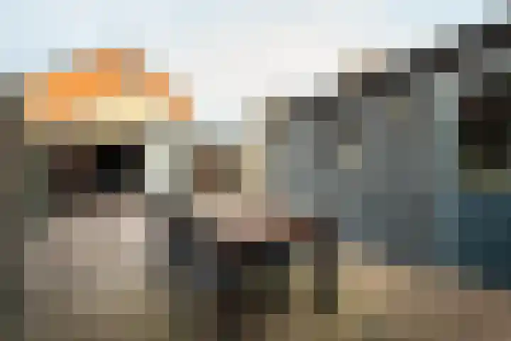 Past van Roesselstraat 35 Hoogerheide thumbnail 22