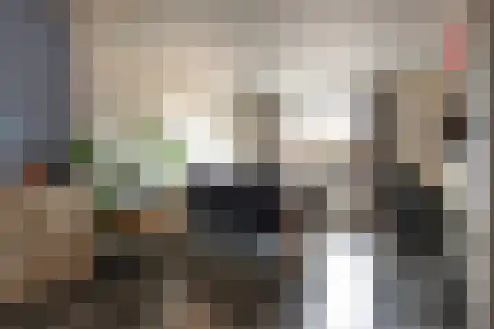 Past van Roesselstraat 35 Hoogerheide thumbnail 6