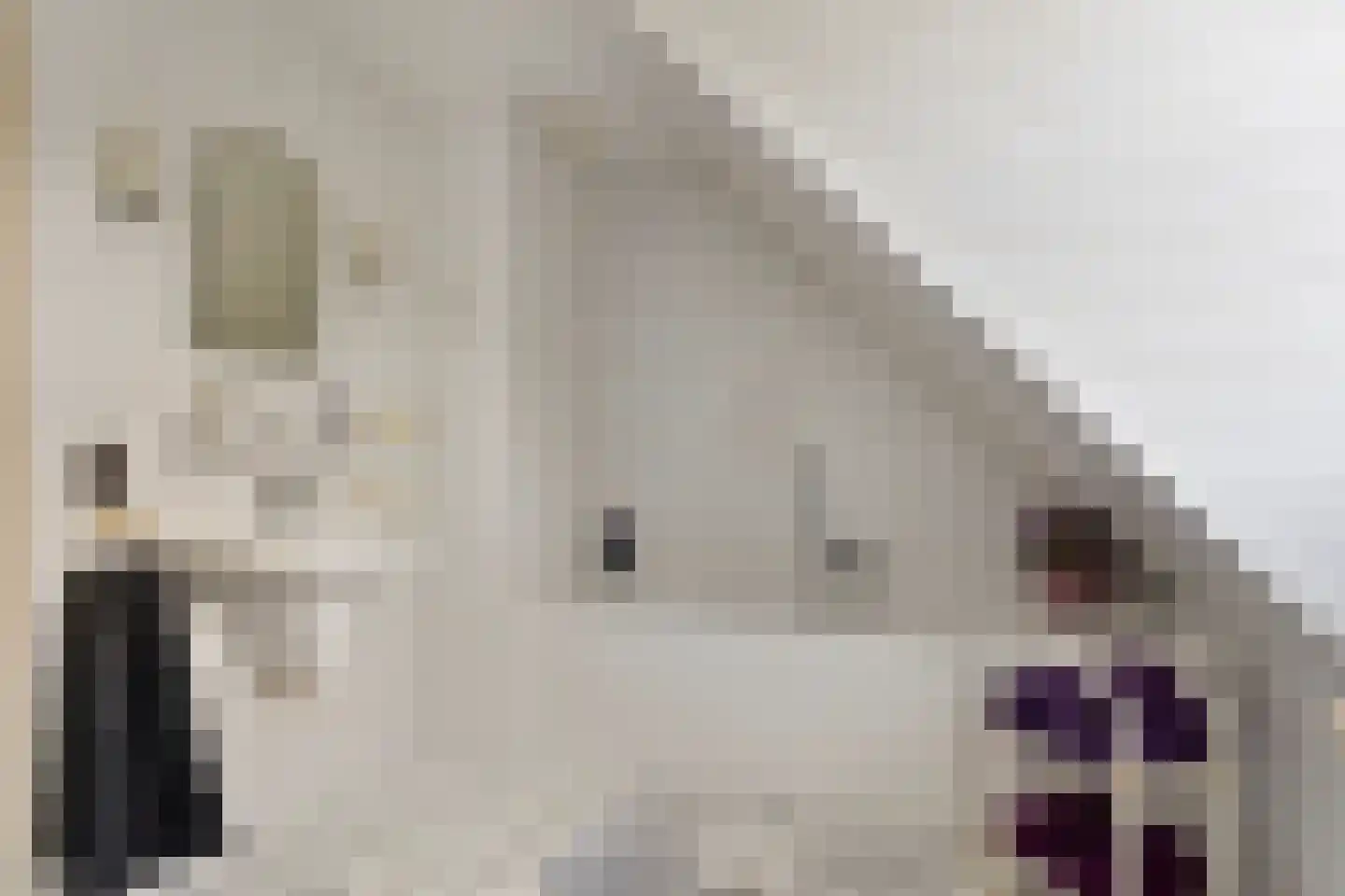 Past. Verbakelstraat 19 Budel-Schoot thumbnail 28