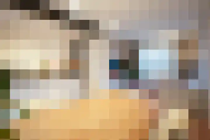 Past Willemsstraat 6 Elsloo thumbnail 8