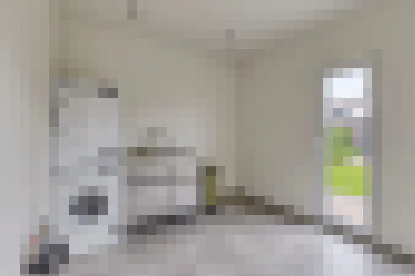 Past Woutersstraat 8 Thorn thumbnail 15