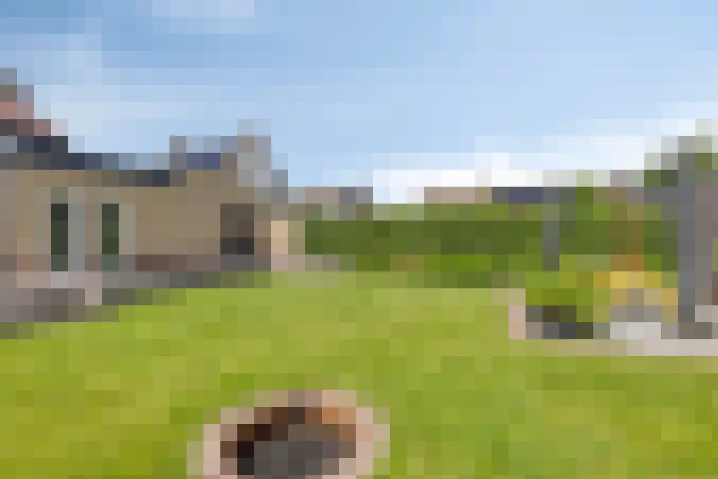 Past Woutersstraat 8 Thorn thumbnail 31