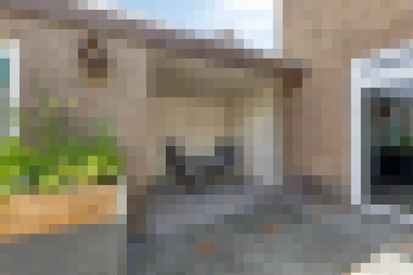 Past Woutersstraat 8 Thorn thumbnail 37