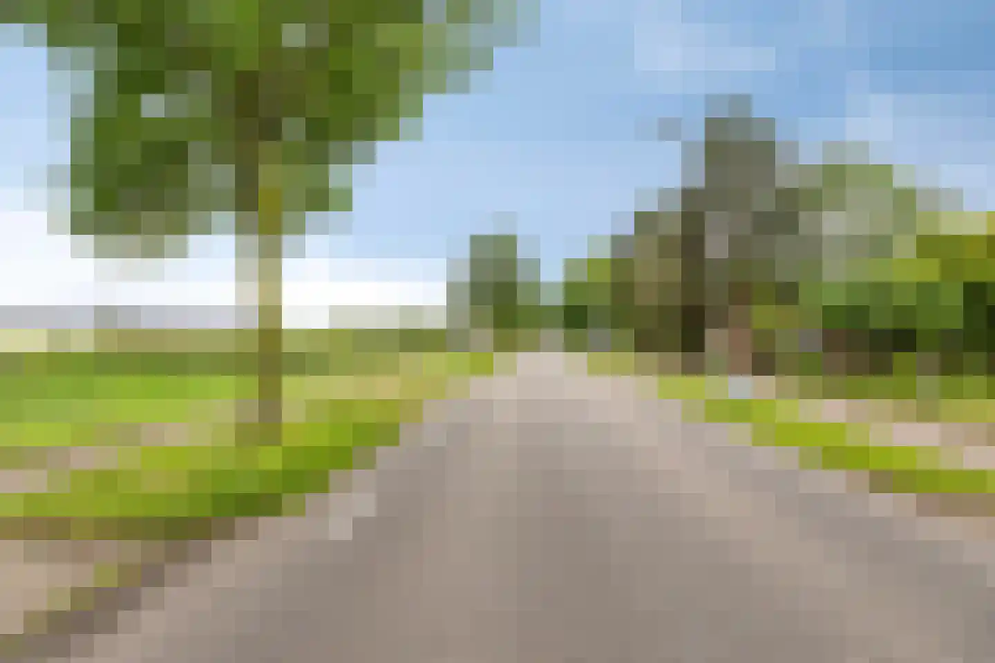 Past Woutersstraat 8 Thorn thumbnail 46