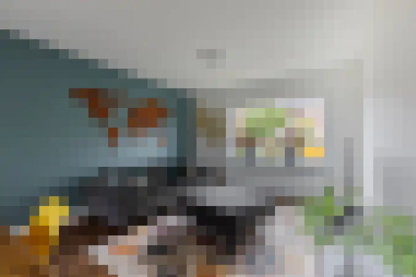 Past Woutersstraat 8 Thorn thumbnail 6