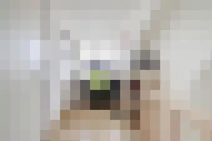 Past Zegersstraat 27 Grubbenvorst thumbnail 19