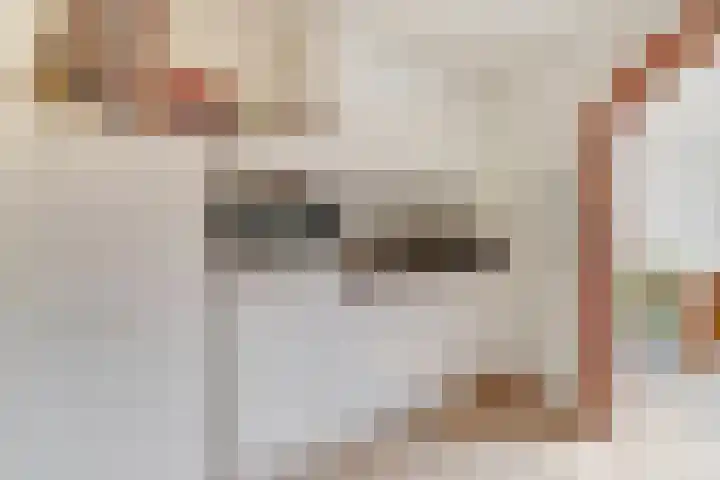 Past Zegersstraat 27 Grubbenvorst thumbnail 8