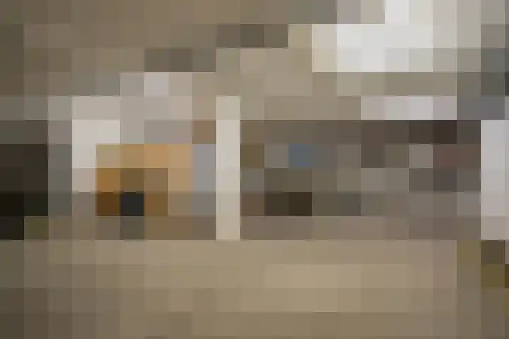 Past Zegersstraat 3 a Grubbenvorst thumbnail 24