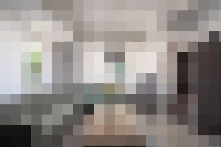 Past Zegersstraat 3 a Grubbenvorst thumbnail 9