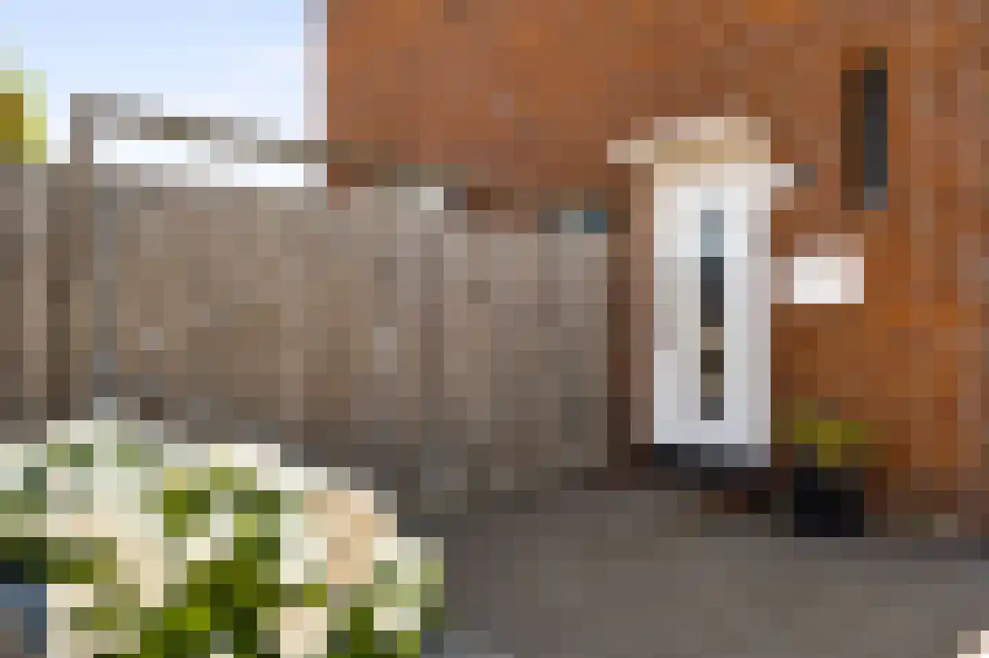 Past Zegersstraat 5 Grubbenvorst thumbnail 11