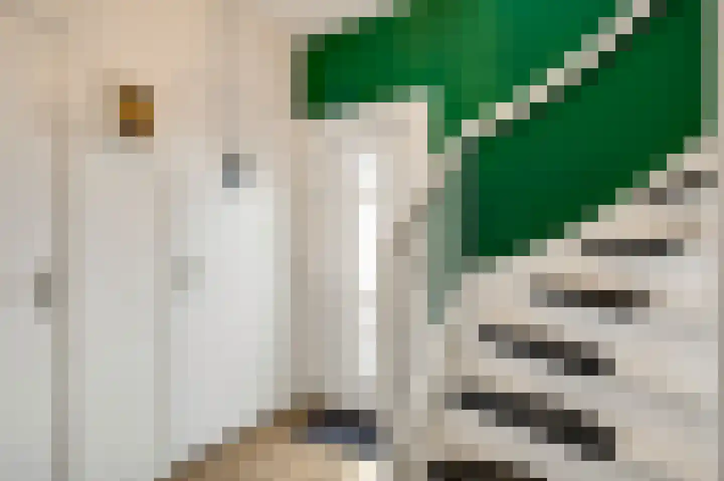 Past Zegersstraat 5 Grubbenvorst thumbnail 12