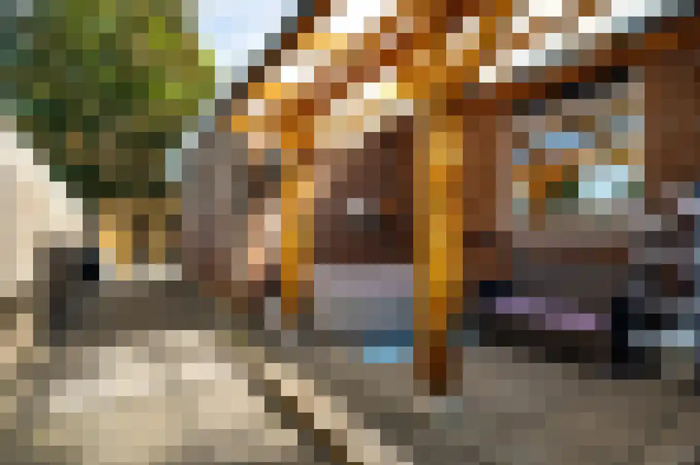 Past Zegersstraat 5 Grubbenvorst thumbnail 27