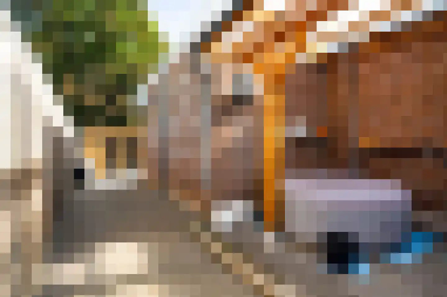 Past Zegersstraat 5 Grubbenvorst thumbnail 28